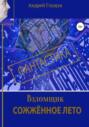 Взломщик. Сожженное лето