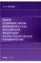 Обзор судебных актов Верховного Суда Российской Федерации за 2024 год по делам о банкротстве