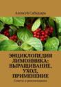 Энциклопедия лимонника: выращивание, уход, применение. Советы и&nbsp;рекомендации