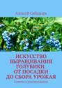 Искусство выращивания голубики. От&nbsp;посадки до&nbsp;сбора урожая. Советы и&nbsp;рекомендации