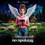 Попаданка по приказу