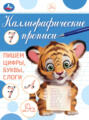 Каллиграфические прописи. Пишем цифры, буквы, слоги
