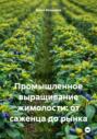 Промышленное выращивание жимолости: от саженца до рынка