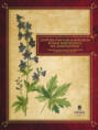 Сenturia plantarum rariorum Russiae meridionalis Ф.К. Биберштейна глазами молодых исследователей «Сириуса» через 200 лет