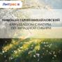 Карандашом с натуры. По Западной Сибири
