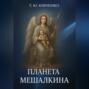 &laquo;Планета Мешалкина&raquo;