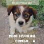 Мне нужна семья&hellip;