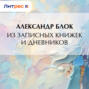 Из записных книжек и дневников