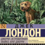Джерри-островитянин. Майкл, брат Джерри