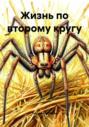 Жизнь по второму кругу