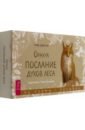 Оракул "Послание духов леса", 64 карты + брошюра