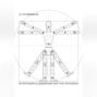 ПРОПОРЦИИ И ДВИЖЕНИЯ ФИГУРЫ ЧЕЛОВЕКА