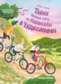 Тайна Черной горы, или Каникулы в Чудесатово