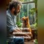 Болезни домашних животных