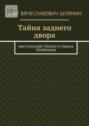 Тайна заднего двора. Мистический триллер о тайнах провинции