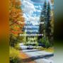 Скрытие с места ДТП. &laquo;Положительная&raquo; практика Второго кассационного суда общей юрисдикции