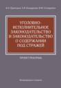 Уголовно-исполнительное законодательство и законодательство о содержании под стражей. Проект реформы
