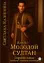 Дервиш-паша &ndash; визирь Османской империи. Книга 1. Молодой султан