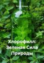 Хлорофилл: Зеленая Сила Природы