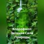 Хлорофилл: Зеленая Сила Природы