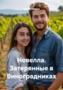 Новелла. Затерянные в Виноградниках