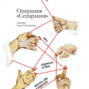 Операция &laquo;Сепарация&raquo;