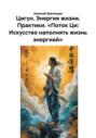 Цигун. Энергия жизни. Практики. &laquo;Поток Ци: Искусство наполнять жизнь энергией&raquo;