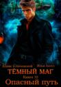 Тёмный маг. Книга 12. Опасный путь