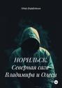 НОРИЛЬСК. Северная сага Владимира и Олеси