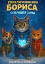 Приключения кота Бориса: Операция &laquo;Зима&raquo;