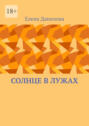 Солнце в&nbsp;лужах